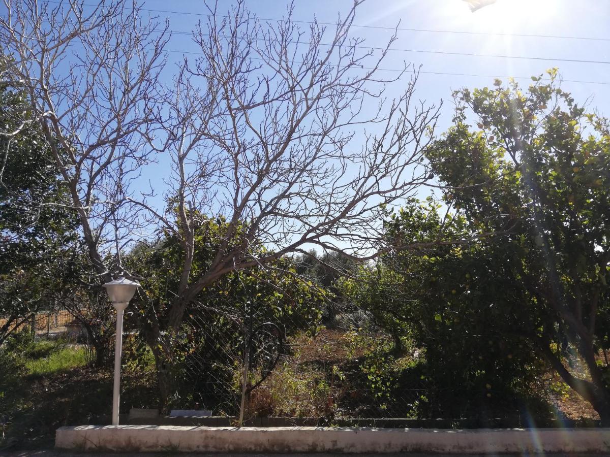 Capinera Bed and Breakfast Αγκριτζέντο Εξωτερικό φωτογραφία